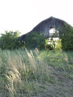 an old barn is surrounded by tall grass