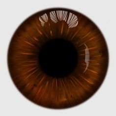 the iris of an eye is brown with white designs on it's outside and inside