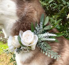 a close up of a dog with flowers on it's collar and greenery around its neck