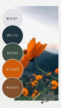 an orange flower with four different colors in the center and below it are words that say,