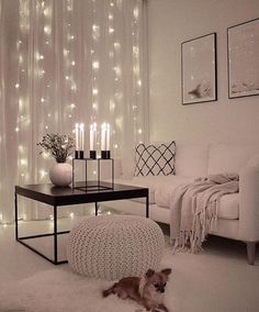 a white living room with lights on the wall and a dog laying in the floor