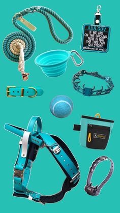 an assortment of dog collars, leashes and other items on a blue background