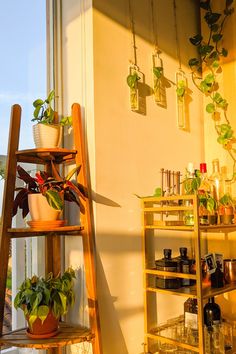 a wooden shelf filled with potted plants next to a wall mounted wine bottle rack