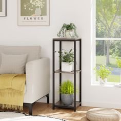 a living room filled with furniture and plants