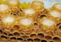 the inside of a beehive that is filled with honeycombs and eggs