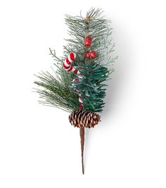 a pine cone with candy canes on it is hanging from a wall ornament