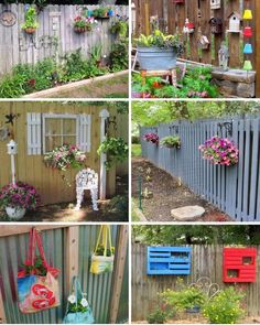 several pictures of different types of plants and flowers in the garden, including an old fence