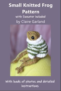 Small Knitted Frog Pattern with Sweater Instructions Included Claire Garland, Knitting Projects Free, Easy Beginner Crochet Patterns, Animal Knitting, Small Knitting Projects