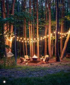 lights strung from trees in the woods with lawn chairs and firepits at night