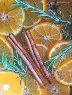 oranges, cinnamon sticks and rosemary sprigs on top of ice