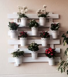 there are many potted plants on the wall