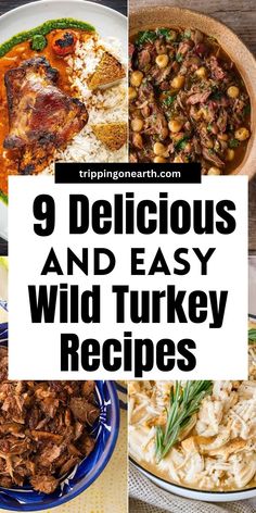 9 delicious and easy wild turkey recipes to make for dinner, lunch or desserts