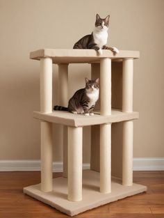 two cats are sitting on top of the cat tree in front of a beige wall