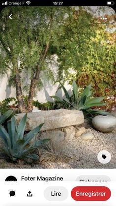 an outdoor area with rocks, plants and trees on the side of the building that has a white wall in the background