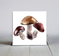 three mushrooms sitting on top of a white table