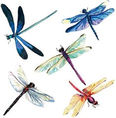 four dragonflys are flying in the air