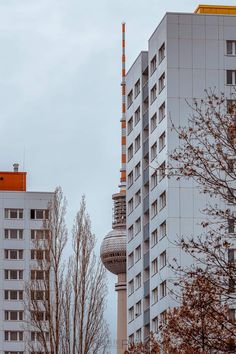 two tall buildings next to each other with trees in the foreground and one building behind them