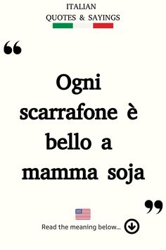 Italian Saying: Ogni scarrafone è bello a mamma soja. Funny Italian Quotes