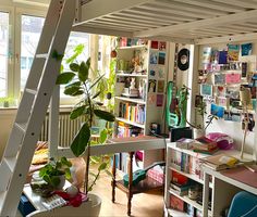 there is a loft bed in the room with bookshelves and plants on it