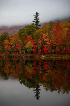 a lake surrounded by trees with fall foliage on the shore and fog in the background