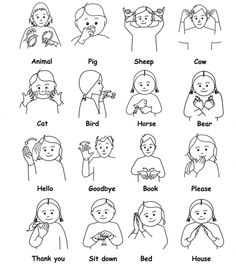 Animals Makaton Australian Sign Language, Sign Language For Kids