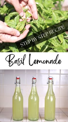 basil lemonade recipe with step by step instructions