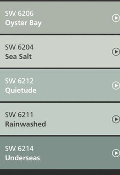 the settings for different types of sea salt are shown in this screenshoter's menu