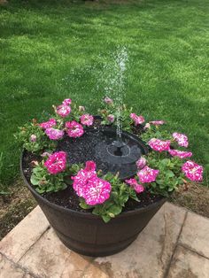 a flower pot filled with pink flowers and water spouting from it's top