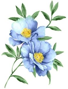 two blue flowers with green leaves on a white background