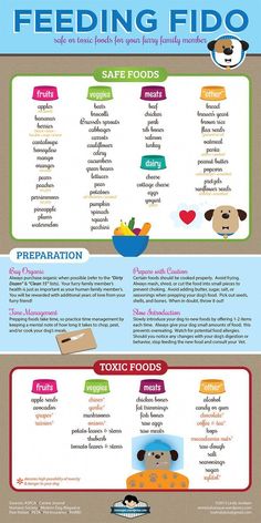 a poster showing different types of food and the words feeding fido in each language