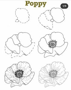 an image of poppys with the words poppy on it