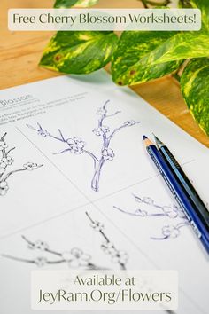 a plant and some pencils sitting on top of a piece of paper with the words, free cherry blossom worksheets available at jely org / flowers