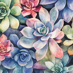 watercolor painting of succulents and other plants