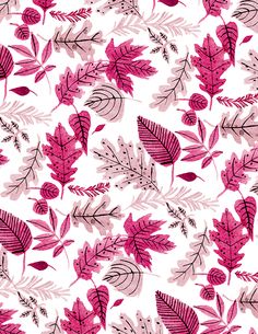 red and pink leaves on white background