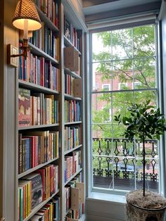 a bookshelf filled with lots of books in front of a window next to a potted plant