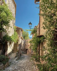 an alley way with cobblestone streets and trees