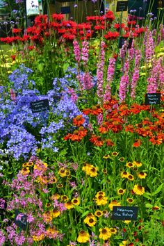 many different colored flowers and plants in a flower garden with signs on the side of them