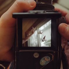 a person holding up a camera with some birds on it