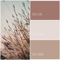 the color scheme for real plum, gentle berry and subtle undertones