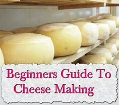 the beginner's guide to cheese making is shown in front of some shelves