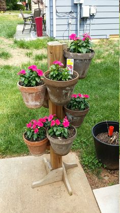 there are many potted plants on the stand