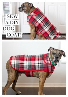 a dog wearing a red and black plaid coat with the words sew a diy dog coat on it