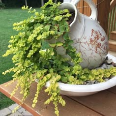 a potted plant sitting on top of a wooden table next to a watering can