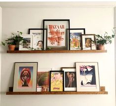 some shelves with pictures and plants on them