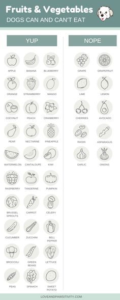 an illustrated guide to fruits and vegetables that are not in the printable package, but on