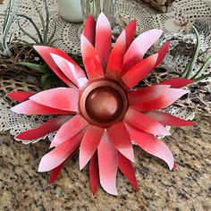 a red and white flower sitting on top of a table