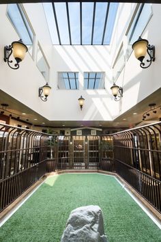 an indoor area with grass and lights