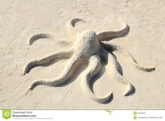 an octopus made out of sand on the beach