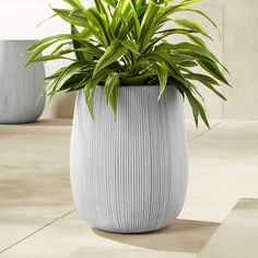 a potted plant sitting on top of a tiled floor next to two vases