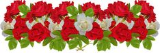 red and white flowers with green leaves are arranged in the shape of a rectangle